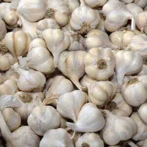 Locally grown garlic