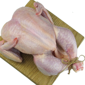 Chicken Broiler (soft)